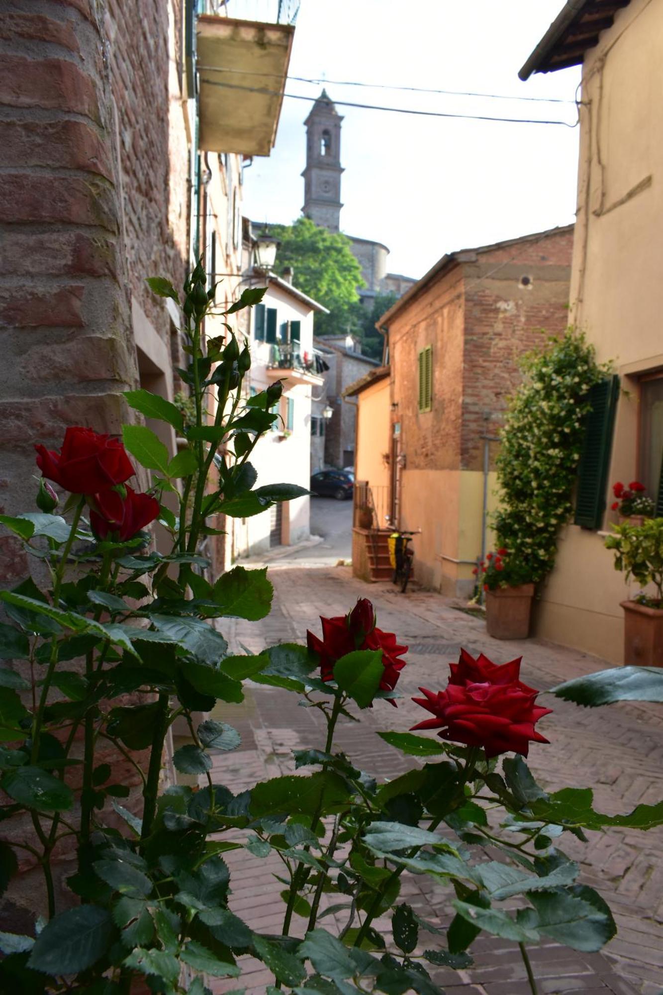 Ciliano 16 Apartment Montepulciano Exterior photo